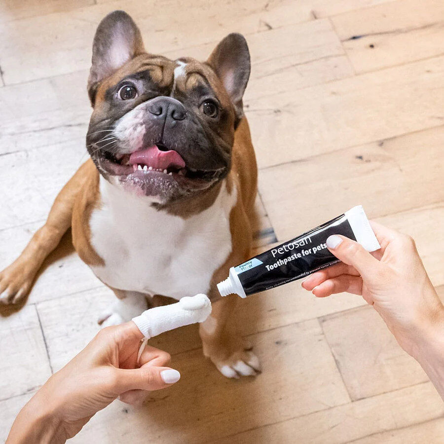 Petosan Pasta de Dientes con Sabor a Pollo para perros y gatos, , large indicador imagen numero 3