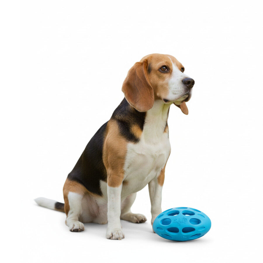 All For Paws Meta Ball Pelota Azul Juguete para perros