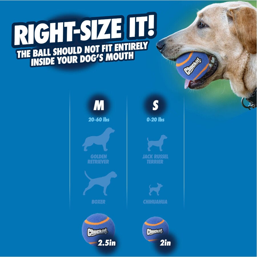 Chuckit! Squeaker Pelota de Tenis con Sonido para perros, , large Imagen numero 5