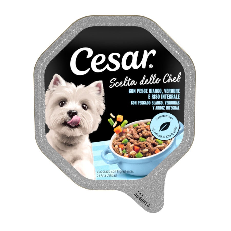 150 g Cesar Recetas del Chef Pescado con Verduras tarrina para perros, , large indicador imagen numero 1