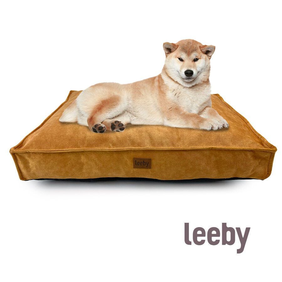 Leeby Colchoneta Impermeable y Desenfundable Dorada para perros, , large indicador imagen numero 2