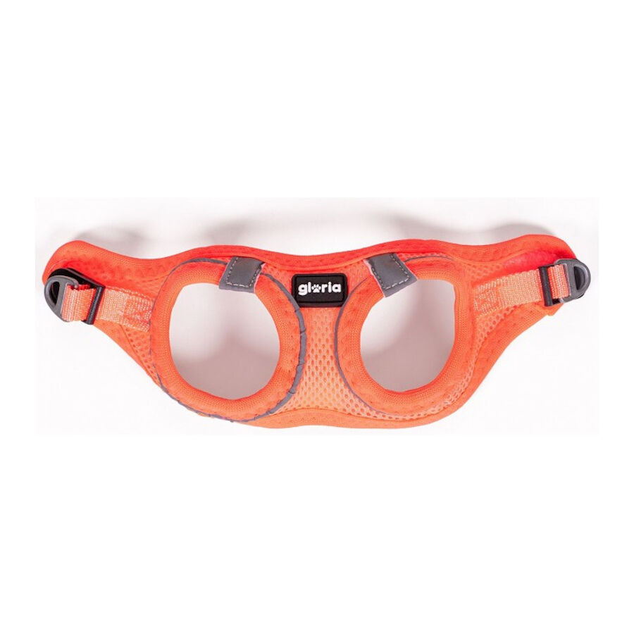 Gloria Air Mesh Trek Star Naranja Arn&eacute;s/Vestido para perros, , large indicador imagen numero 2