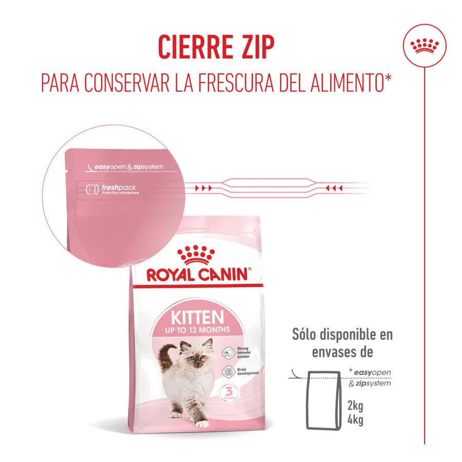 4 kg Royal Canin Kitten pienso para gatos, , large Imagen numero 5