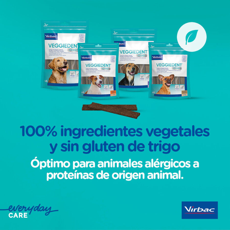 15 barritas Virbac Snacks Dentales VeggieDent Fresh para perros Toy, , large indicador imagen numero 11
