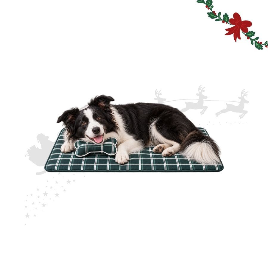 Wonder Christmas Set Manta y Cojin Hueso para perros, , large indicador imagen numero 1