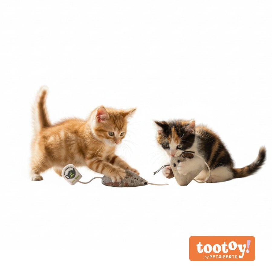 Tootoy! Rat&oacute;n de Tela con Catnip para gatitos