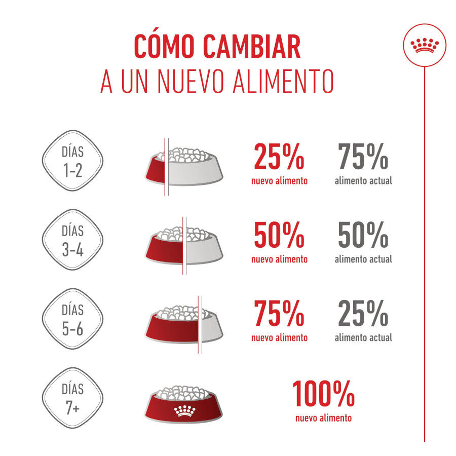 4 kg Royal Canin Starter MotheryBaby Mini pienso para perros, , large indicador imagen numero 10