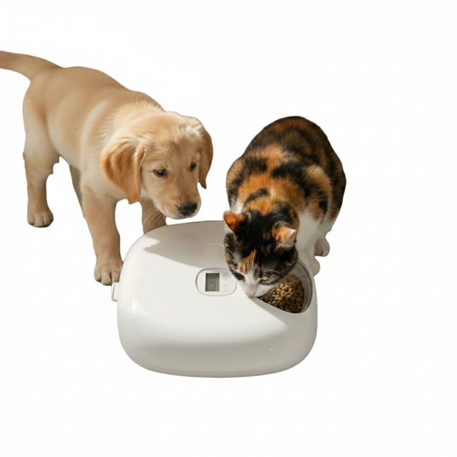All For Paws Lifestyle Comedero Autom&aacute;tico Blanco para perros y gatos