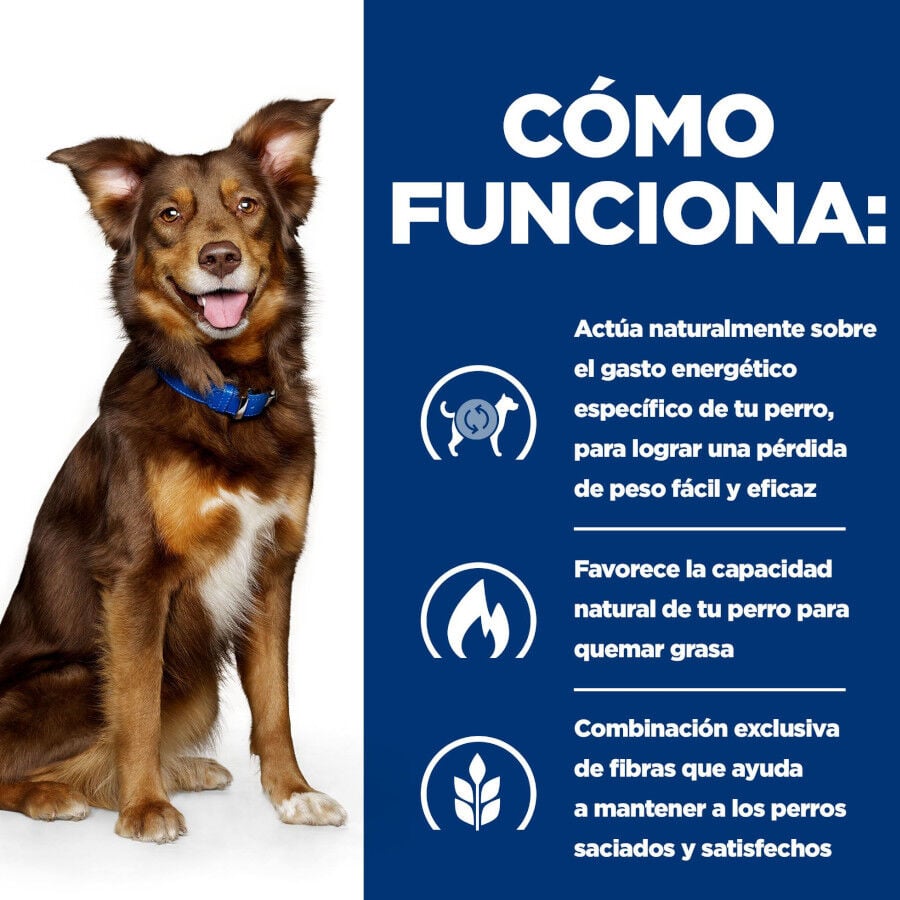 12 kg Hill's Prescription Diet Metabolic cordero y arroz pienso para perros, , large indicador imagen numero 6