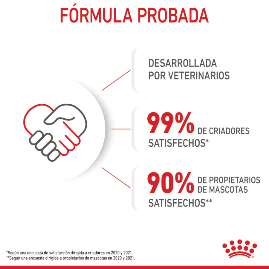 85 g Royal Canin Kitten pat&eacute; sobre para gatos, , large Imagen numero 12