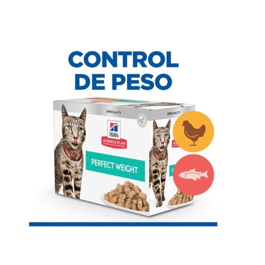 12 sobres x 85 g Hill's Perfect Weight Salm&oacute;n y Pollo sobre para gatos  12, , large indicador imagen numero 2