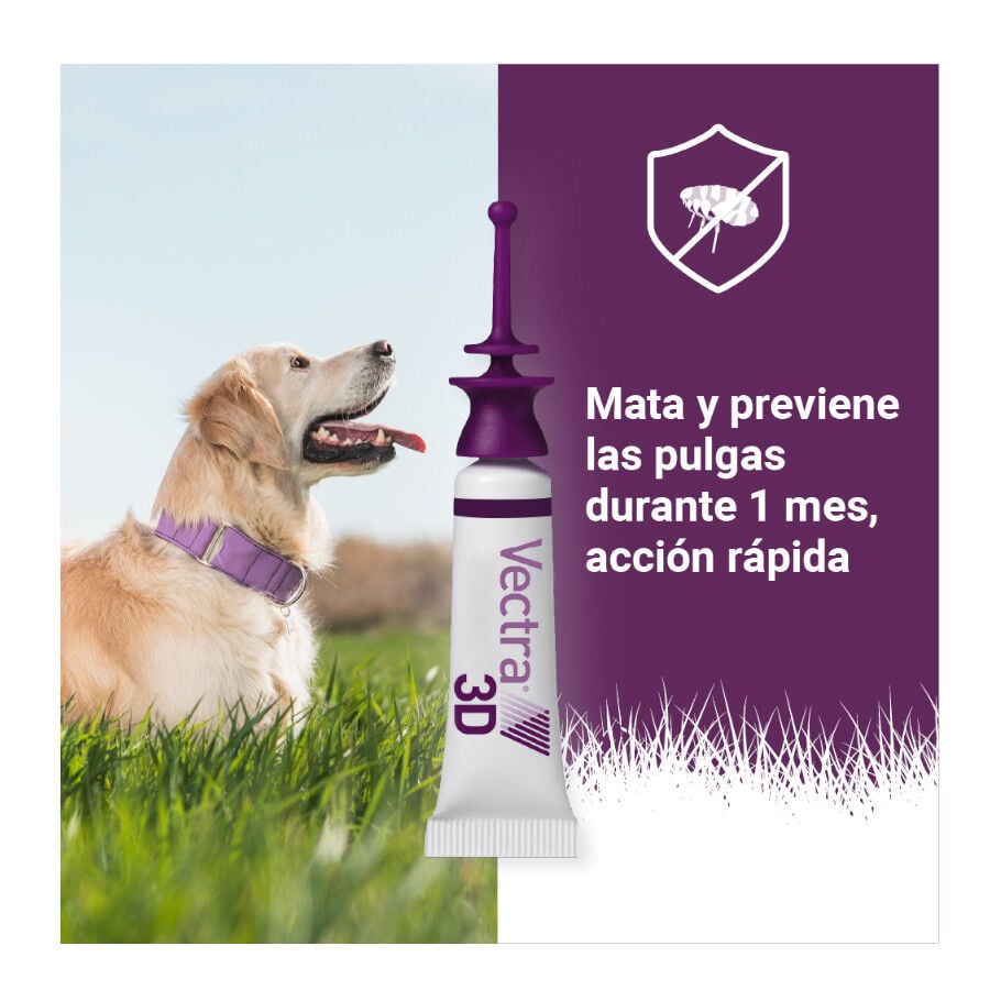 Vectra 3D Pipetas Antiparasitarias para perros, , large Imagen numero 11