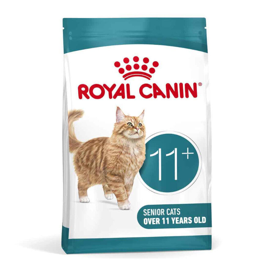 4 kg Royal Canin Ageing 11+ pienso para gatos&nbsp;senior, , large indicador imagen numero 1