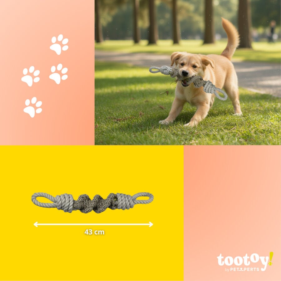 Tootoy! Mordedor de Cuerda con Nudos para perros, , large indicador imagen numero 4