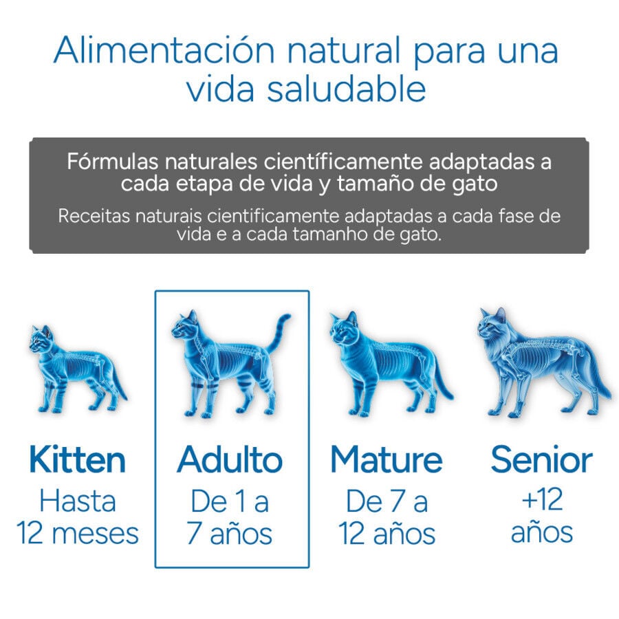2 kg Criadores Cient&iacute;fico Adulto Pollo pienso para gatos, , large indicador imagen numero 11