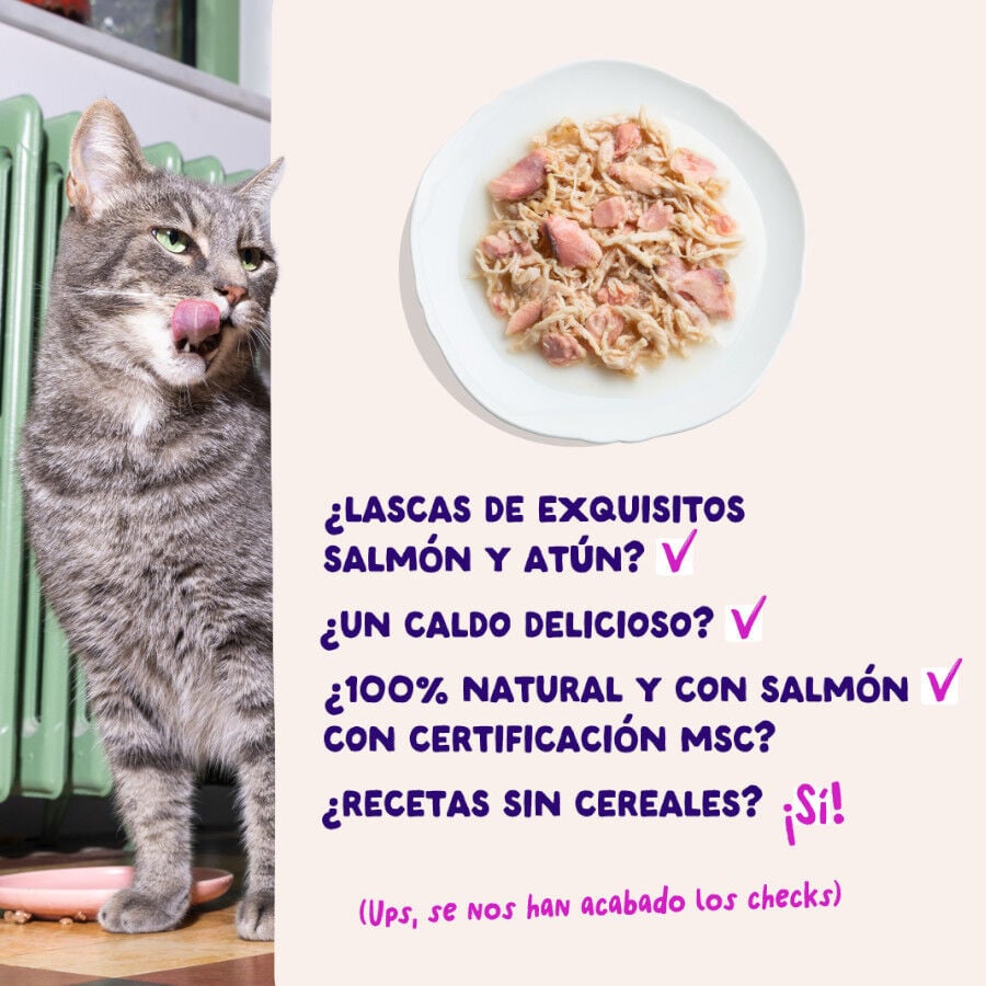 70 g Edgard & Cooper Filetes de Salm&oacute;n y At&uacute;n Lata para gatos, , large indicador imagen numero 4