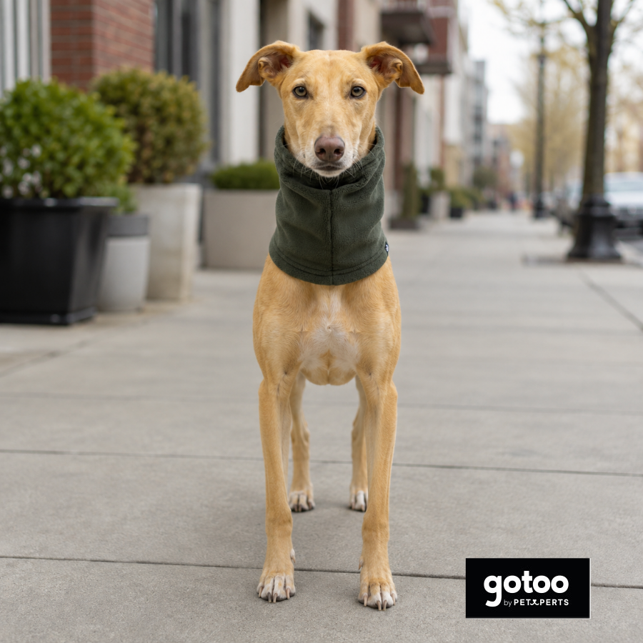 Gotoo Bufanda Polar Verde para perros
