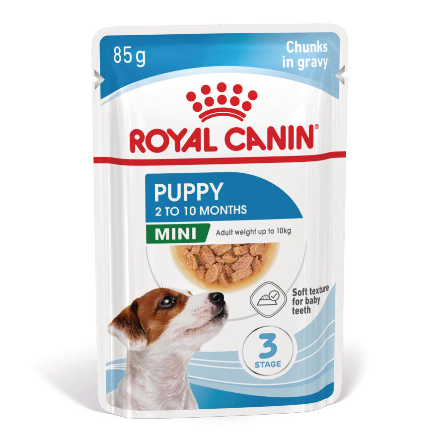 85 g Royal Canin Mini Puppy sobre en salsa, , large indicador imagen numero 2
