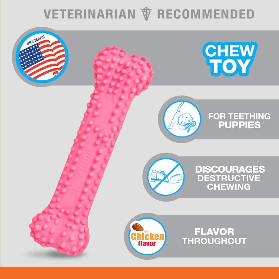 Nylabone Hueso Mordedor Dental Rosa Sabor a Pollo para cachorros, , large indicador imagen numero 5