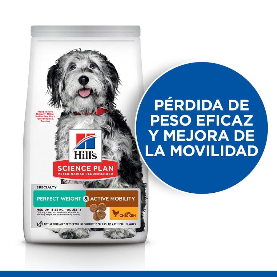 12 kg Hill's Science Plan Perfect Weight y Active Mobility pollo pienso para perros medianos, , large Imagen numero 3