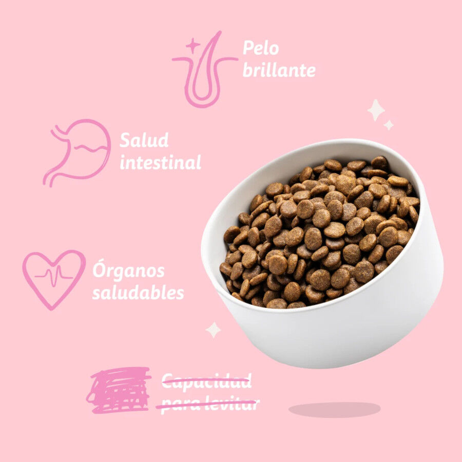3 kg Edgard & Cooper Pienso Pato y Pollo para cachorros mini, , large indicador imagen numero 5