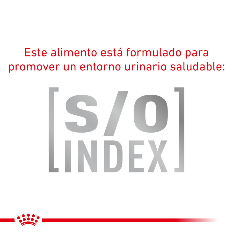 12 sobres x 85 g Royal Canin Mature Consult Balance Pat&eacute; sobre para gatos, , large indicador imagen numero 4