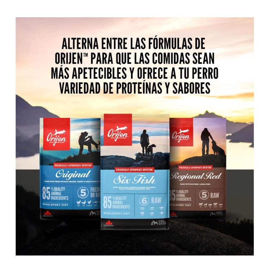 4.5 kg Orijen Small pienso para perros, , large indicador imagen numero 5