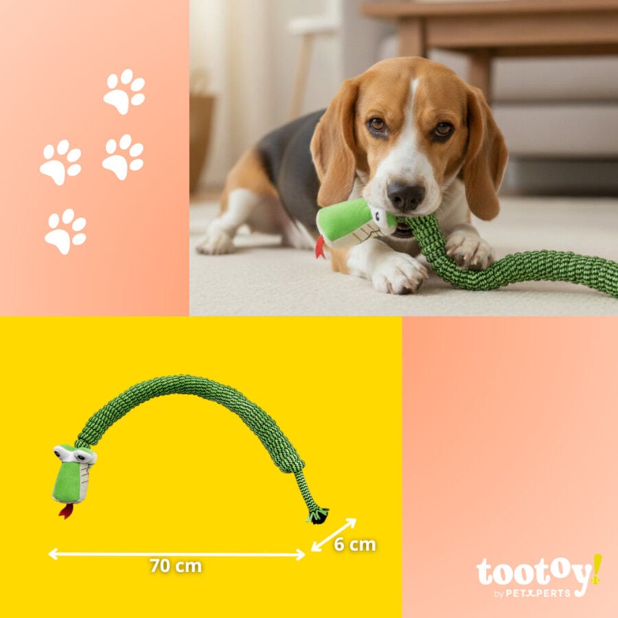 Tootoy! Serpiente Modedor de Cuerda para perros, , large indicador imagen numero 4