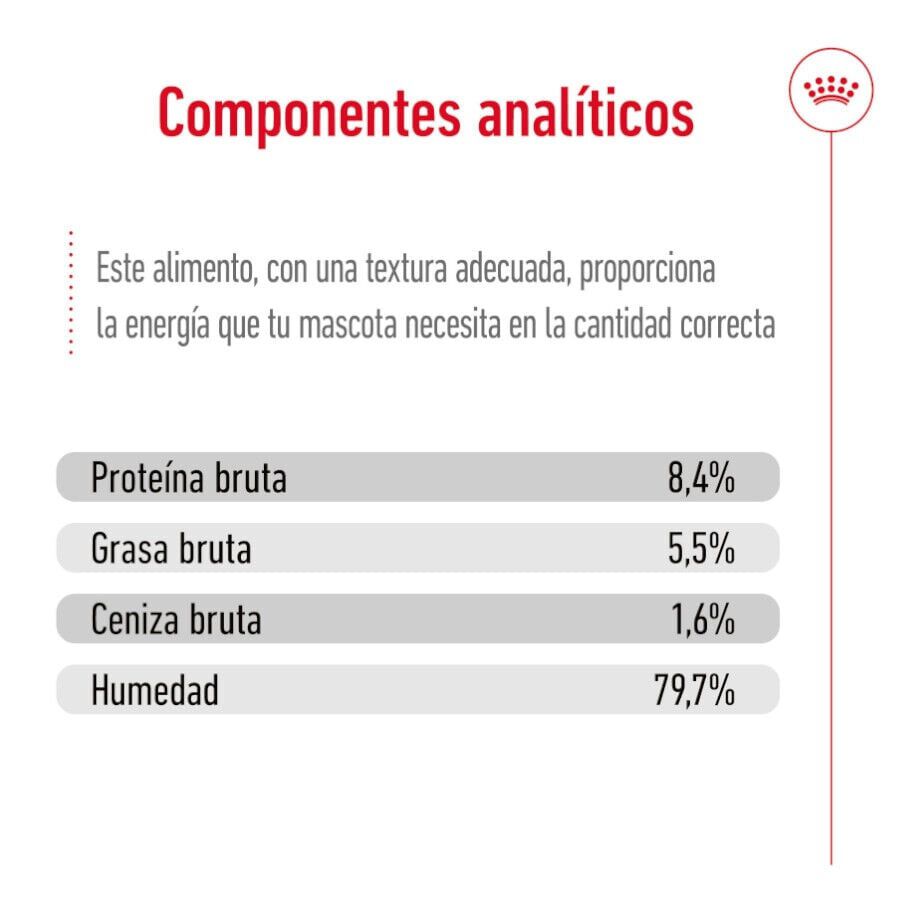 410 g Royal Canin Medium 7+ Ageing lata para perros&nbsp;senior, , large indicador imagen numero 6