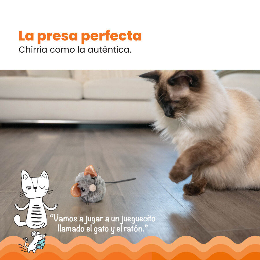 Catstages Squeaky Squeaky Gris Rat&oacute;n de Juguete con Catnip para gatos, , large indicador imagen numero 6