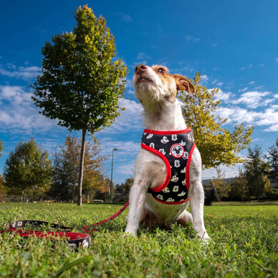 Disney Mickey Mouse Premium Arn&eacute;s reversible para perros, , large indicador imagen numero 4