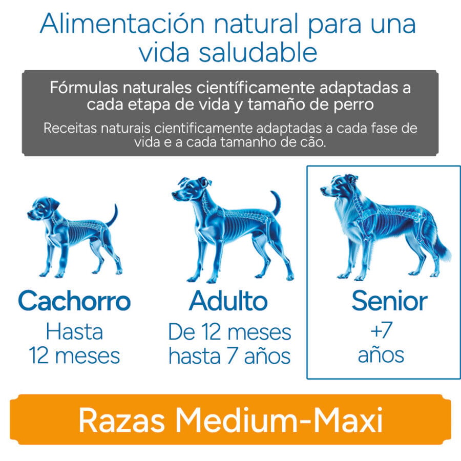 12 kg Criadores Cient&iacute;fico Senior Pienso para perros de razas medianas y grandes, , large indicador imagen numero 11