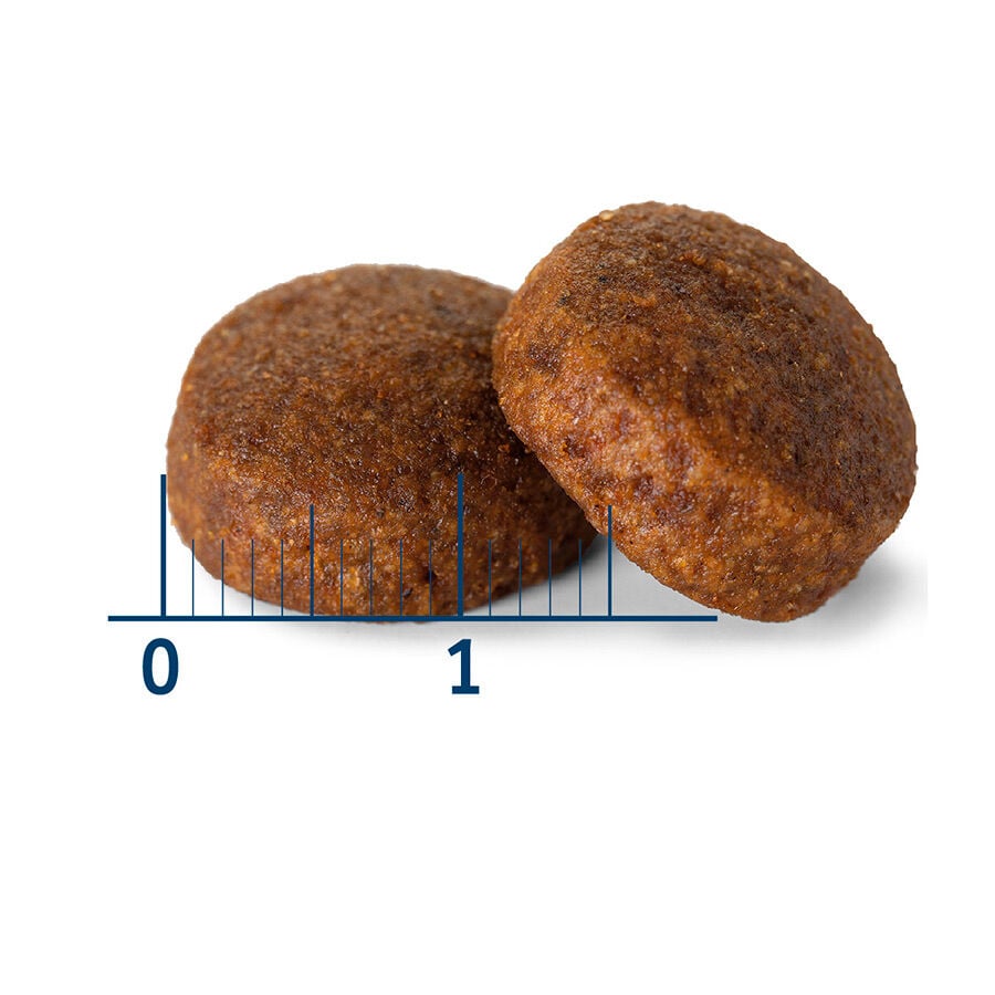12 kg Nath Adult Maxi Pollo pienso para perros, , large Imagen numero 3