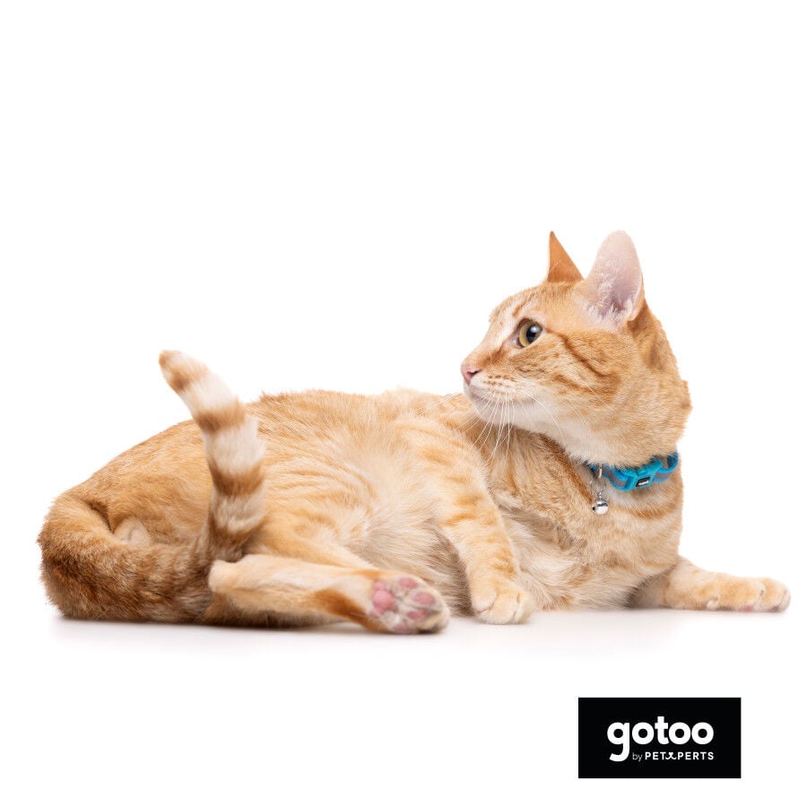Gotoo Collar reflectante azul para gatos, , large Imagen numero 5
