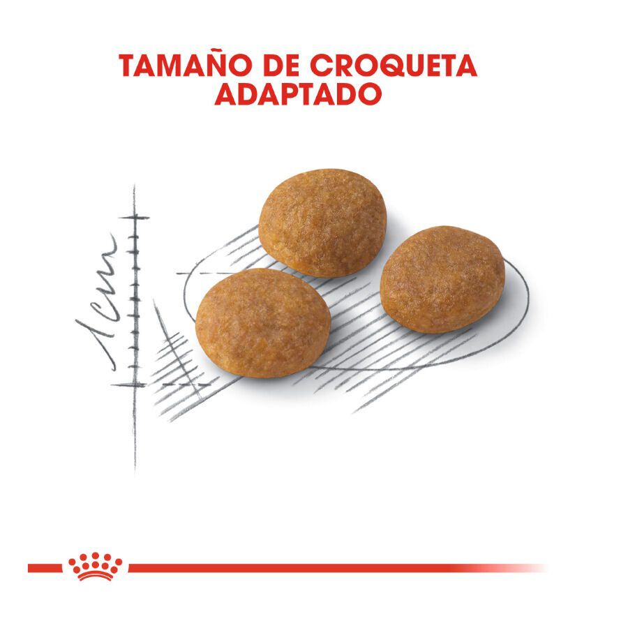 0.4 kg Royal Canin Adult Exigent Aroma pienso para gatos, , large indicador imagen numero 3