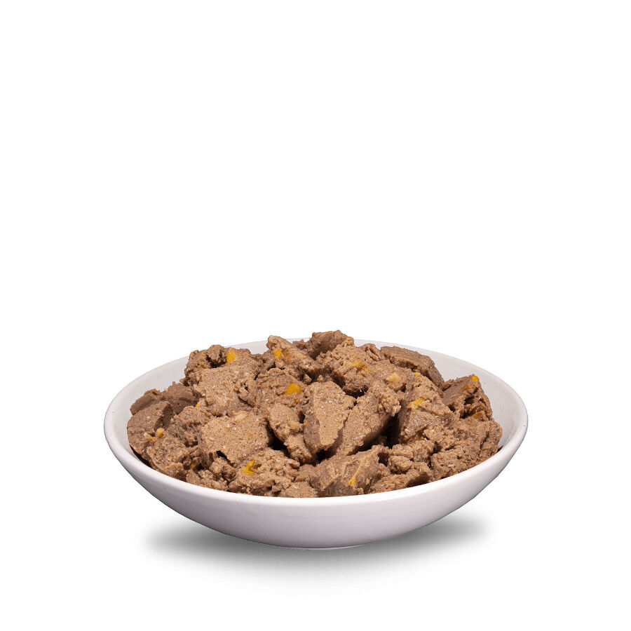 400 g ERA Sybarite Adulto At&uacute;n, Cerdo y Batata en pat&eacute; lata para perros, , large indicador imagen numero 2
