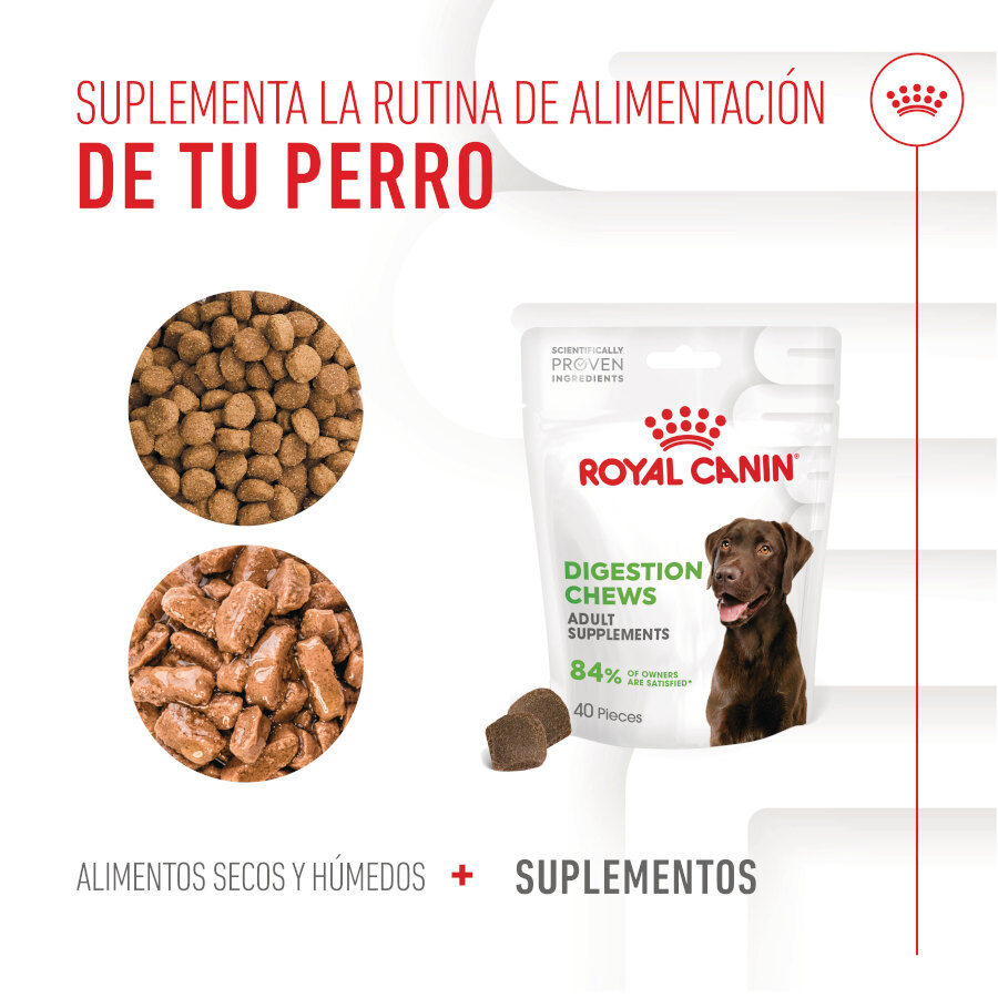 160 g Royal Canin Digestion Chews Suplemento Nutricional para perros con sensibilidad, , large Imagen numero 9