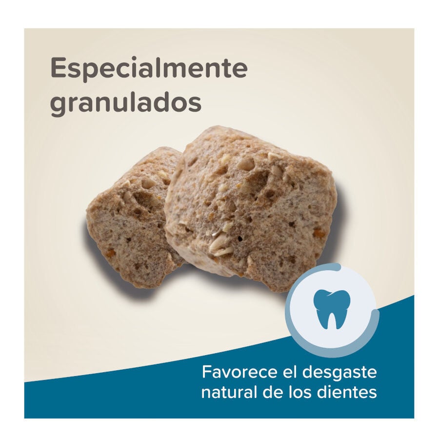 700 g Beaphar Care+ Pienso para h&aacute;msteres, , large indicador imagen numero 6