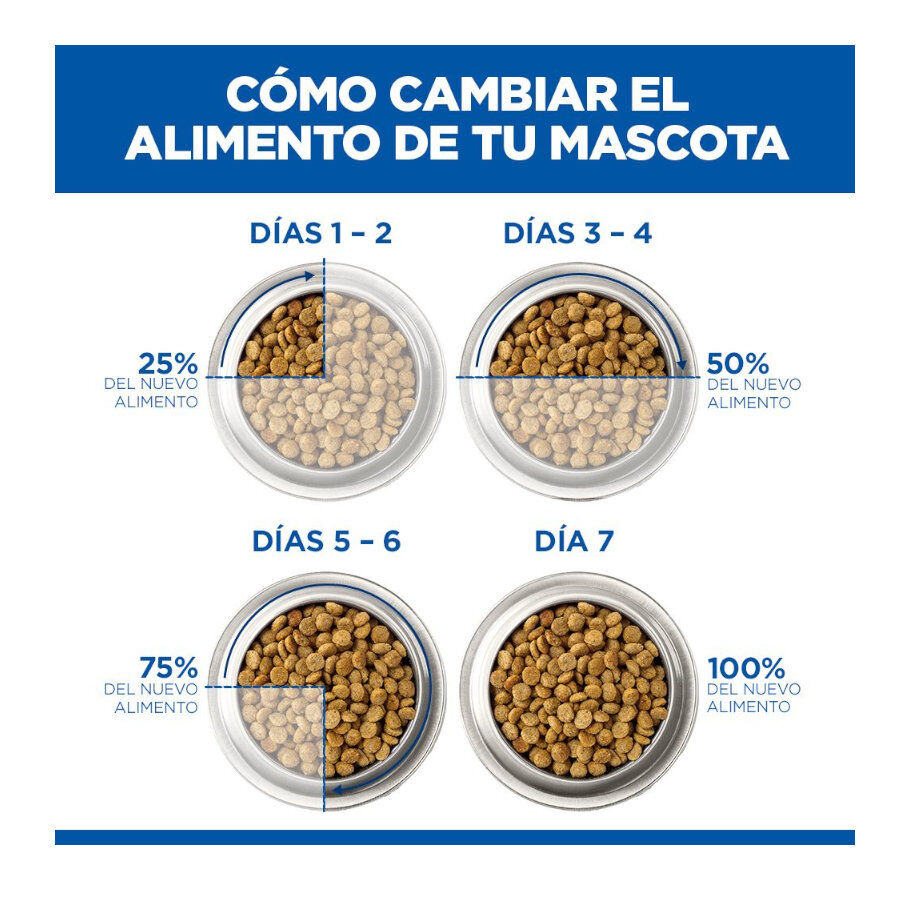 14 kg Hill's Science Plan Perfect Digestion Adult large Pollo pienso para perros, , large indicador imagen numero 8