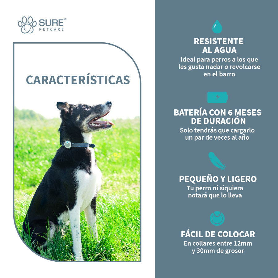 Sure Petcare Animo monitor de Conducta para perros, , large Imagen numero 5