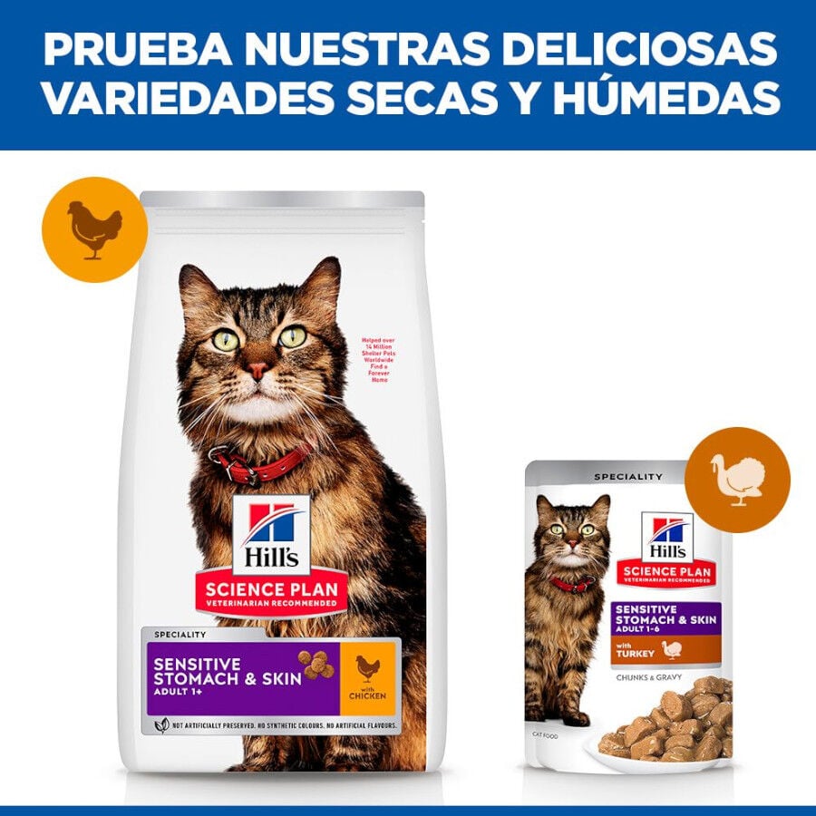1.5 kg Hill's Adult Science Plan Sensitive Stomach Pollo pienso para gatos, , large indicador imagen numero 7