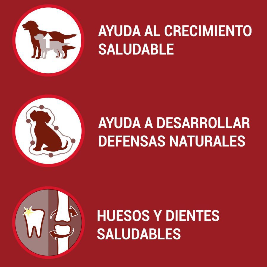 1.5 kg Purina One Junior Bifensis Pollo pienso para perros, , large Imagen numero 2