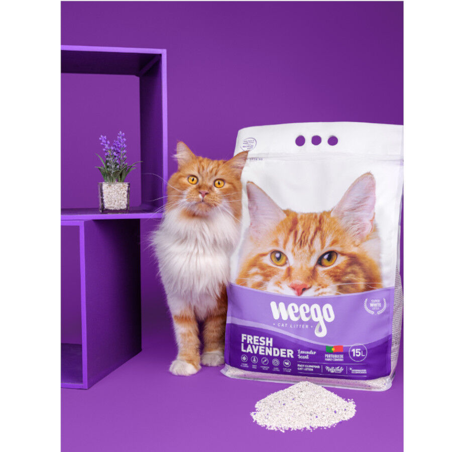 Weego Fresh Lavender Arena Aglomerante para gatos, , large Imagen numero 3