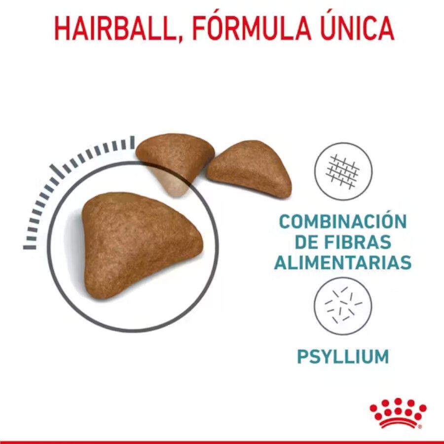 10 kg Royal Canin Intense Hairball pienso para gatos, , large Imagen numero 4