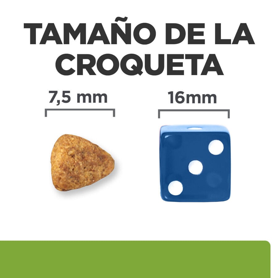 6 kg Hill's Prescription Diet Metabolic + Mobility Mini j/d pienso para perros, , large Imagen numero 6