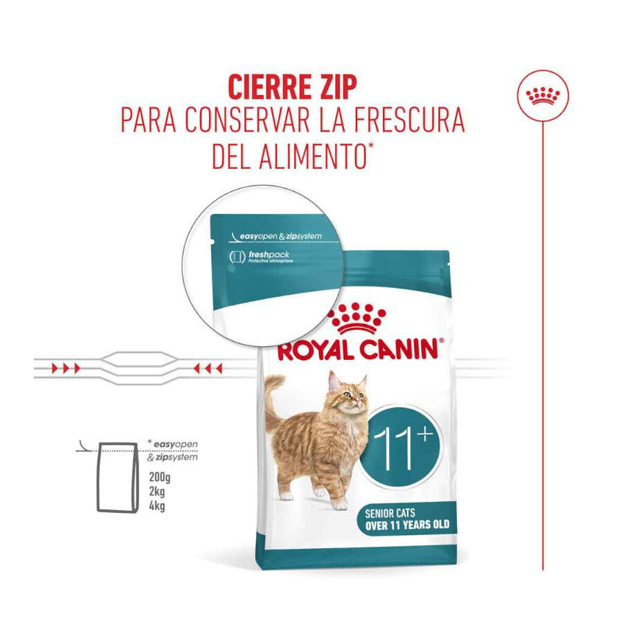 4 kg Royal Canin Ageing 11+ pienso para gatos&nbsp;senior, , large indicador imagen numero 7