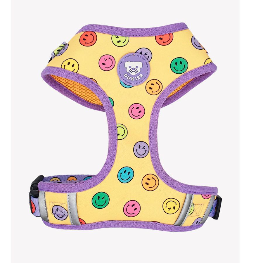 Dukier Smiley Arn&eacute;s Ajustable para perros