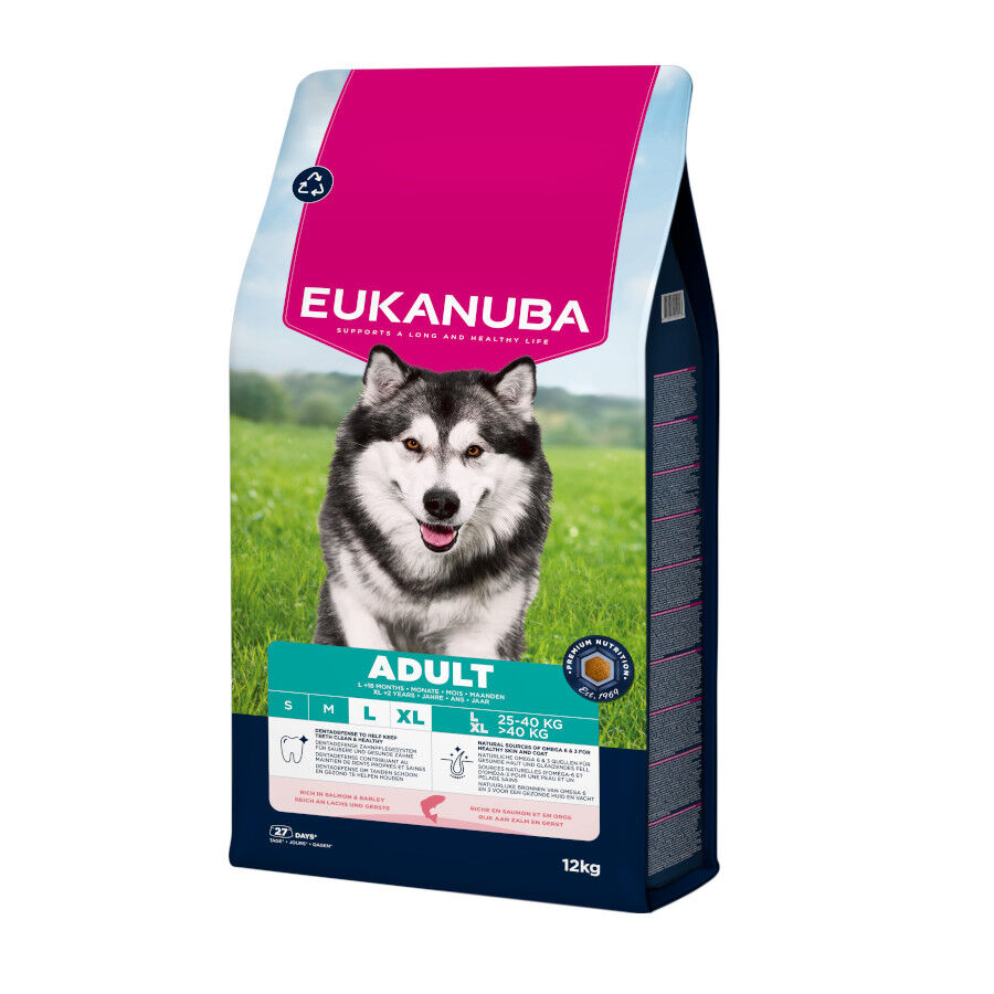 12 kg Eukanuba Adult Salm&oacute;n pienso para perros, , large Imagen numero 2
