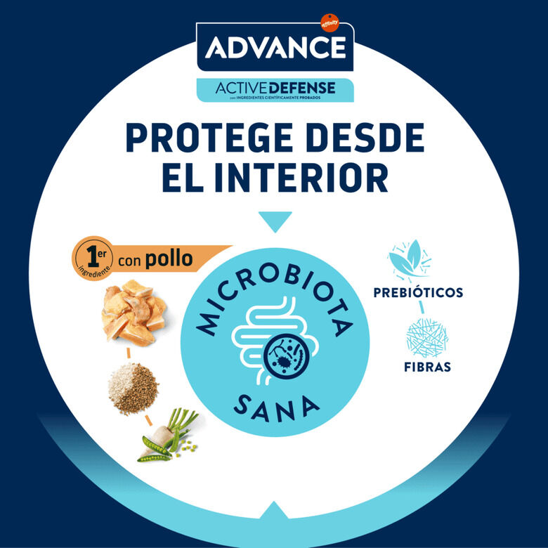 Advance Junior Sterilized pienso para gatos6 Imagen numero 7