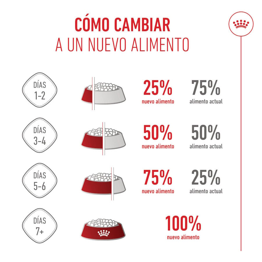 15 kg Royal Canin Medium Starter Mother&Baby pienso para perros, , large indicador imagen numero 9